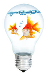 iStock 000009455610Small 2